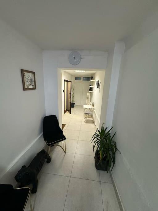 Apartment Happy Calea Victoriei Bukarest